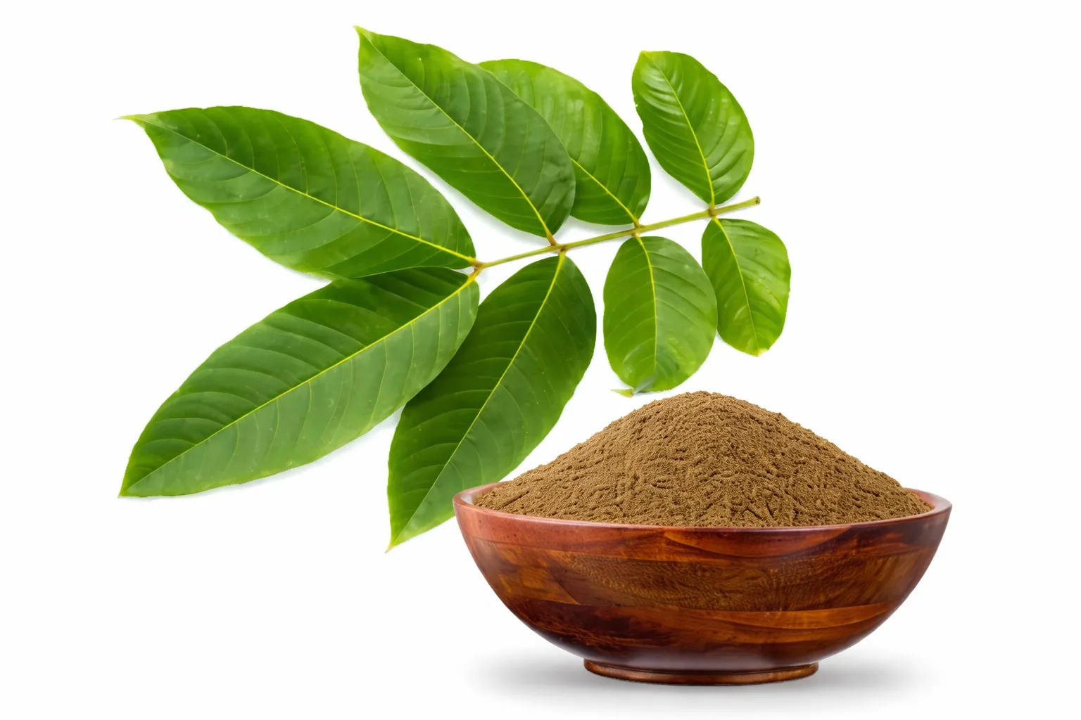 Extracto de hoja de banaba como ingrediente de GLPura